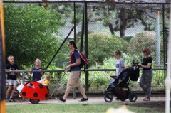 Zanimal 7 * 5616 x 3744 * (10.36MB)